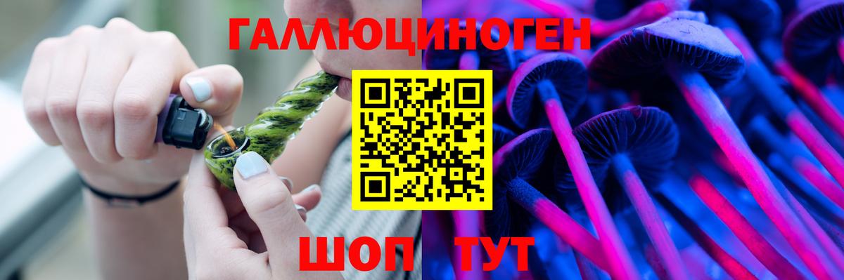 Псилоцибиновые грибы мухоморы  магазин продажи   Алейск  Вход с VPN 